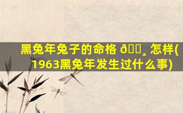 黑兔年兔子的命格 🕸 怎样(1963黑兔年发生过什么事)
